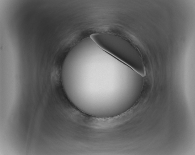 X0000113250037200909100951