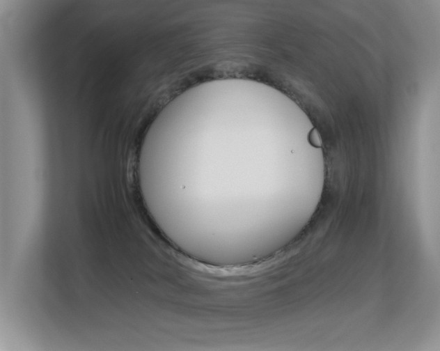 X0000113250038200909100951