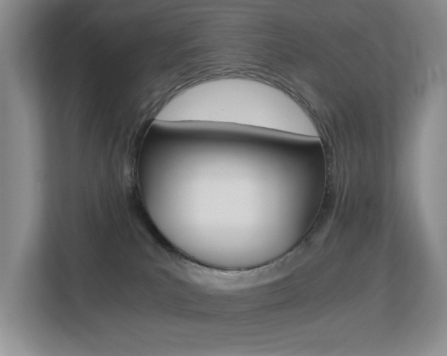 X0000113250039200909100951