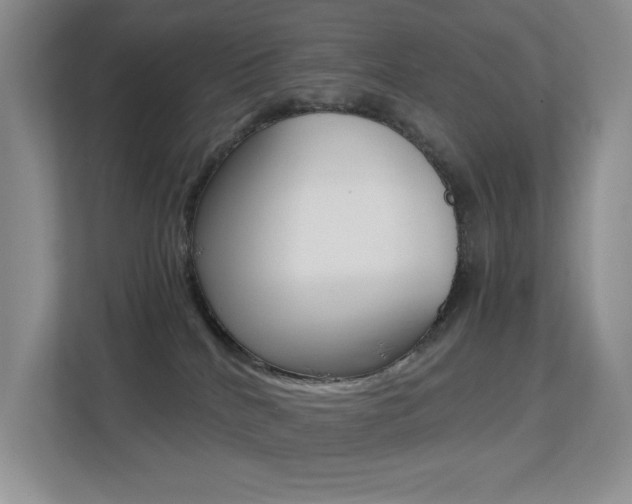 X0000113250040200909100951