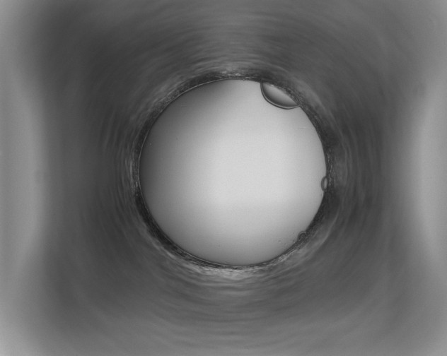 X0000113250044200909100951