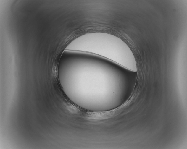 X0000113250045200909100951