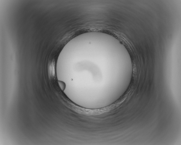 X0000113250046200909100951