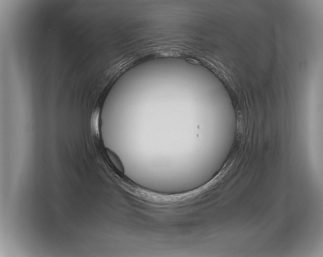 X0000113250047200909100951
