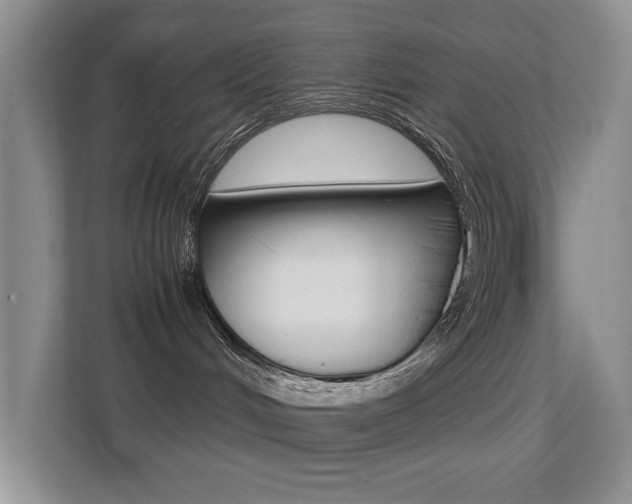 X0000113250048200909100951