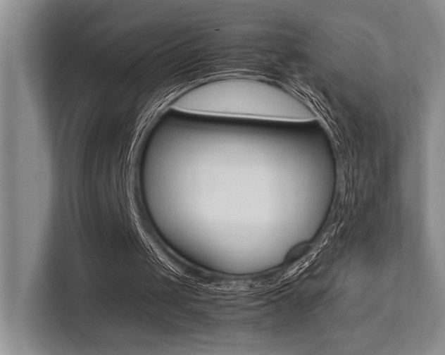 X0000113250049200909100951