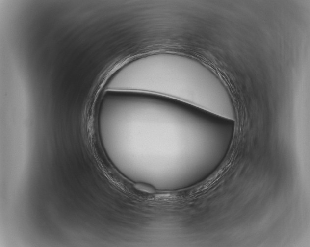 X0000113250050200909100951