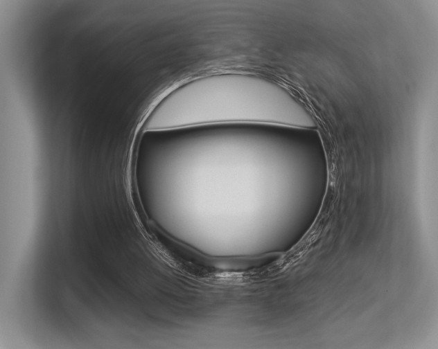 X0000113250052200909100951