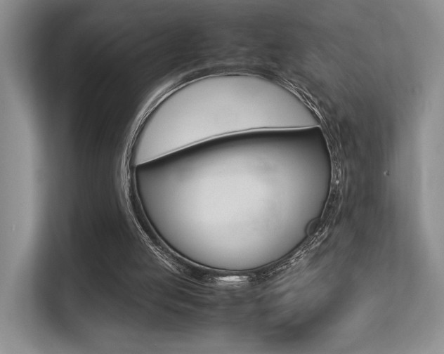 X0000113250053200909100951