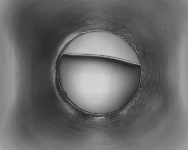 X0000113250054200909100951