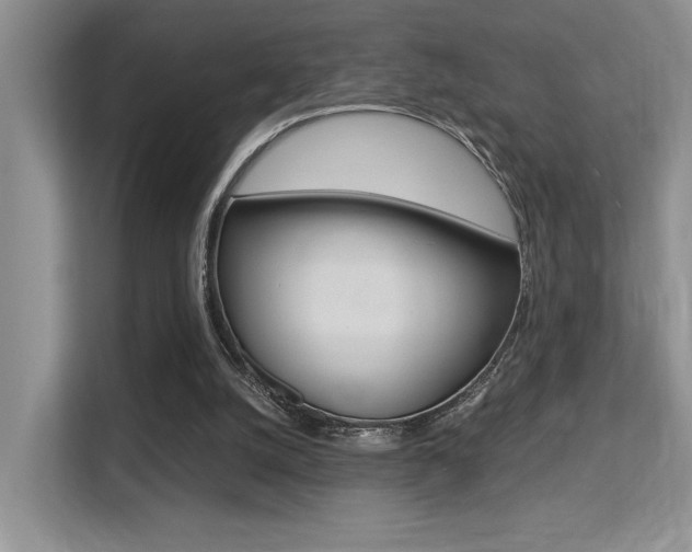 X0000113250056200909100951