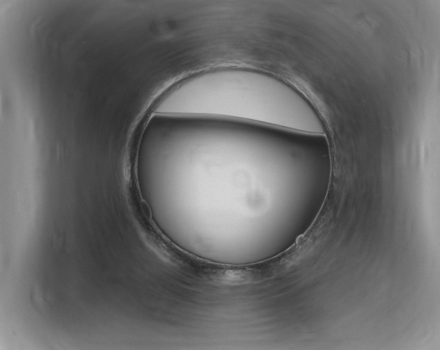 X0000113250060200909100951