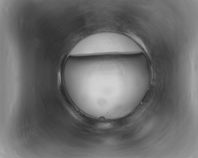 X0000113250061200909100951