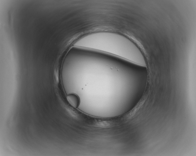 X0000113250062200909100951