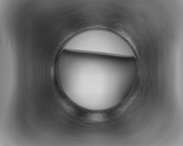 X0000113250063200909100951