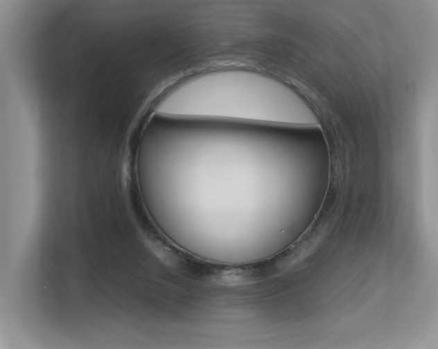 X0000113250064200909100951