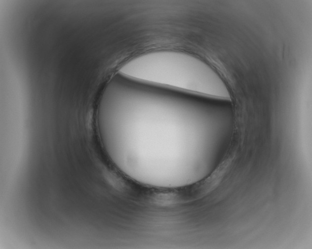 X0000113250066200909100951