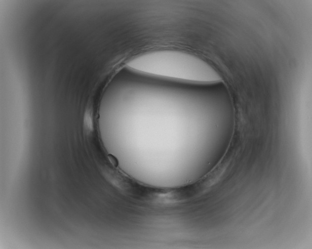 X0000113250068200909100951