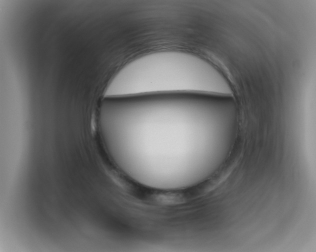 X0000113250069200909100951