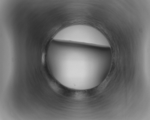 X0000113250070200909100951