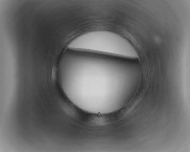 X0000113250071200909100951