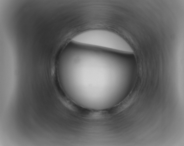 X0000113250072200909100951
