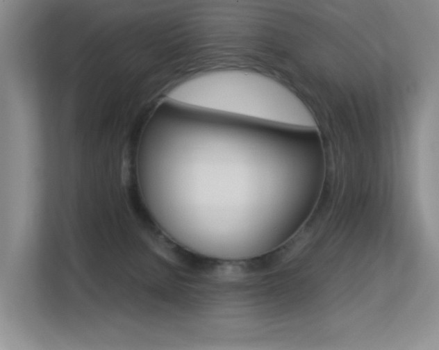 X0000113250080200909100951