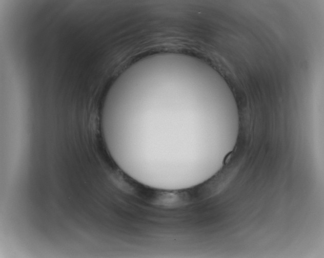 X0000113250083200909100951