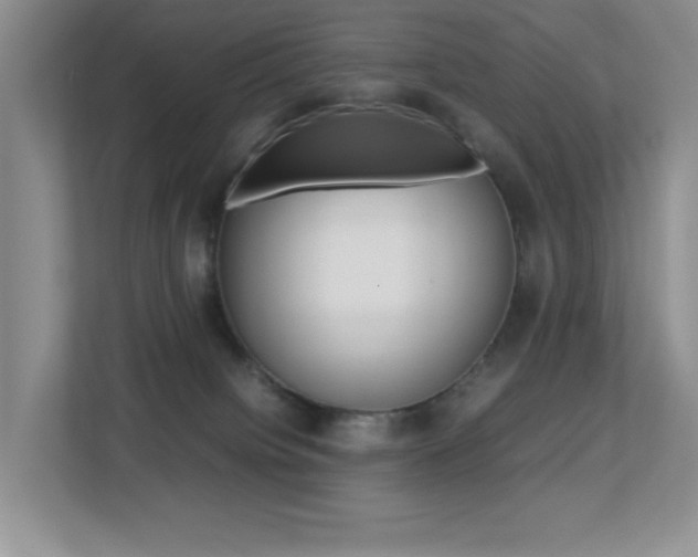 X0000113250084200909100951