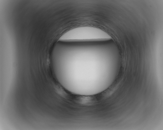 X0000113250085200909100951