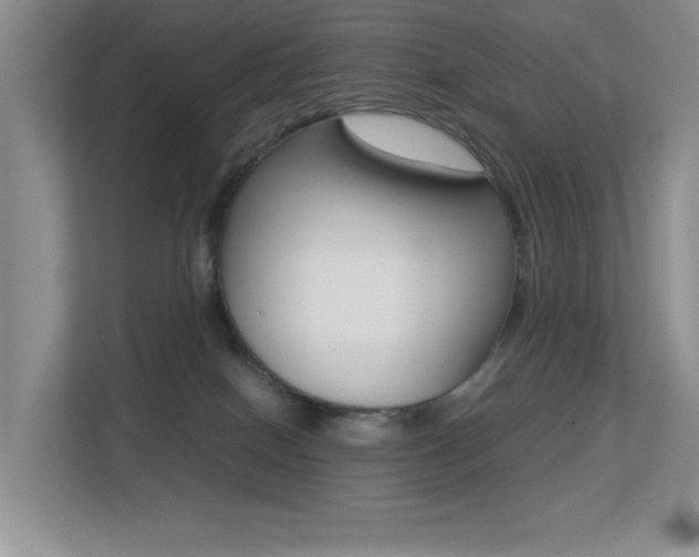 X0000113250086200909100951