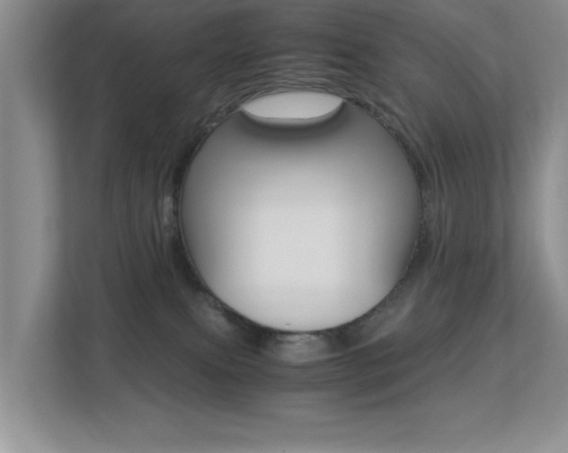 X0000113250087200909100951
