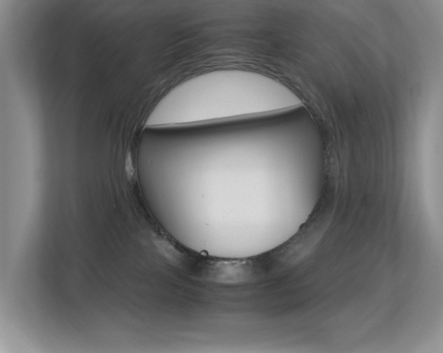 X0000113250089200909100951