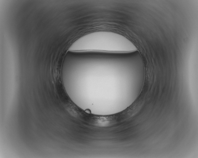 X0000113250091200909100951