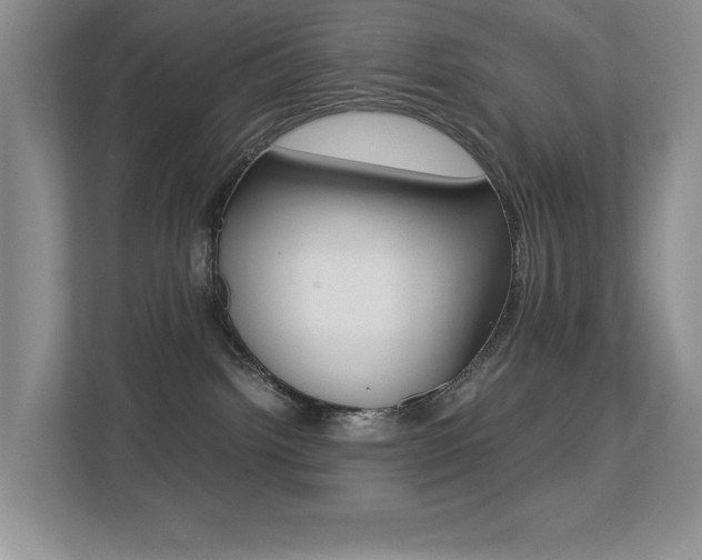 X0000113250092200909100951