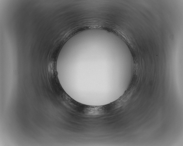 X0000113250093200909100951