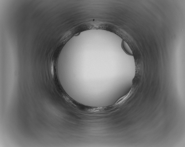 X0000113250094200909100951