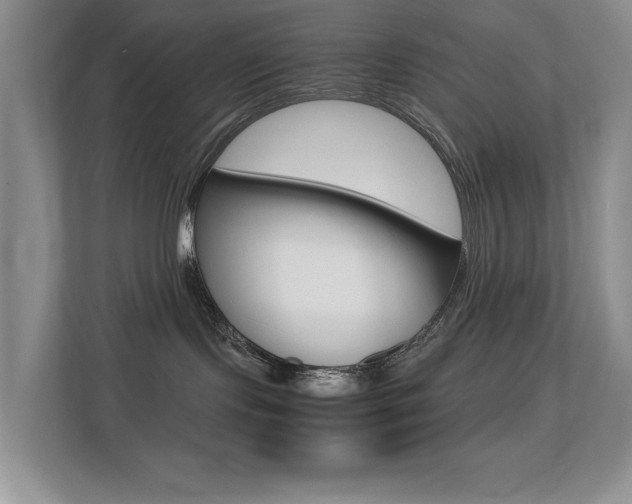 X0000113250095200909100951