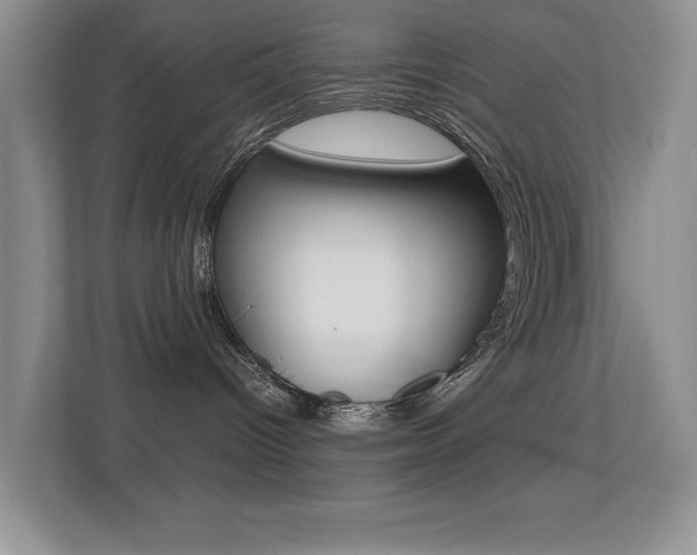 X0000113250096200909100951