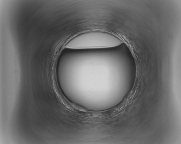 X0000113250097200909100951