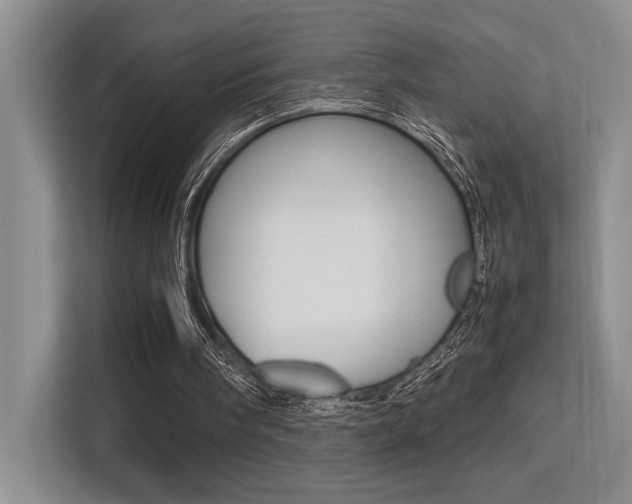 X0000113250098200909100951