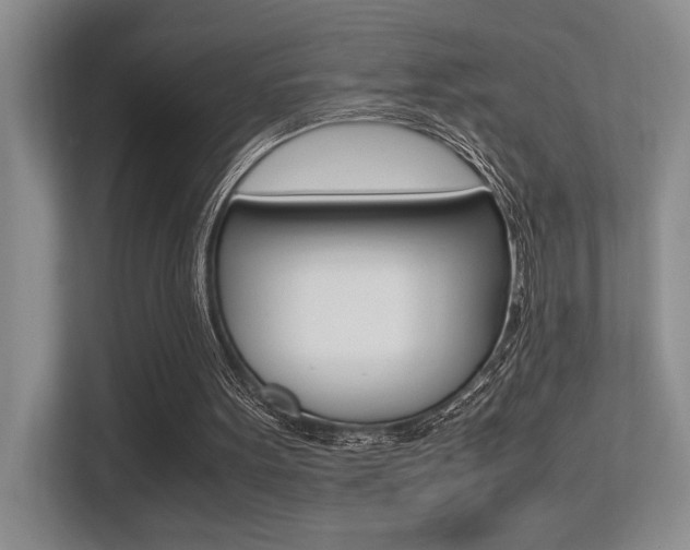 X0000113250099200909100951