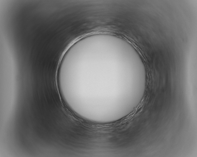 X0000113250100200909100951