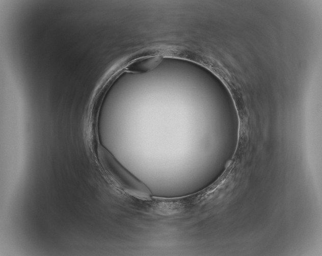 X0000113250101200909100951