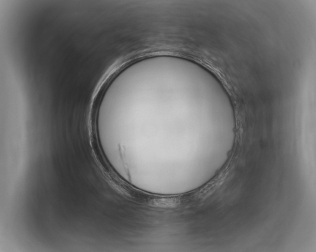 X0000113250102200909100951