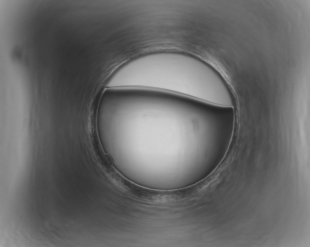 X0000113250105200909100951