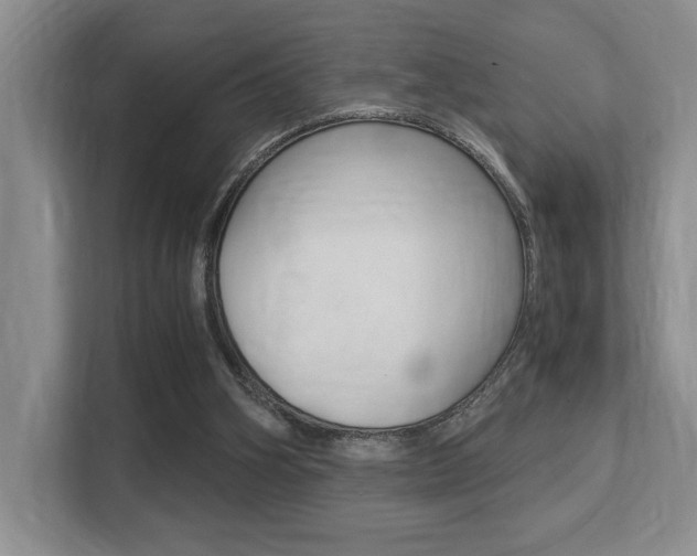 X0000113250106200909100951