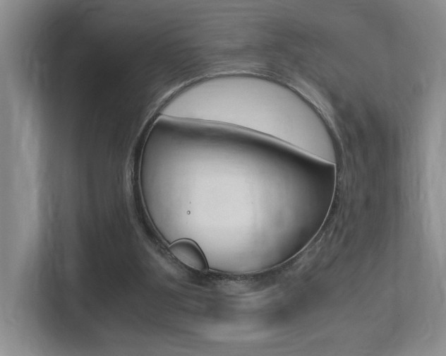 X0000113250107200909100951