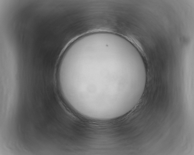 X0000113250108200909100951