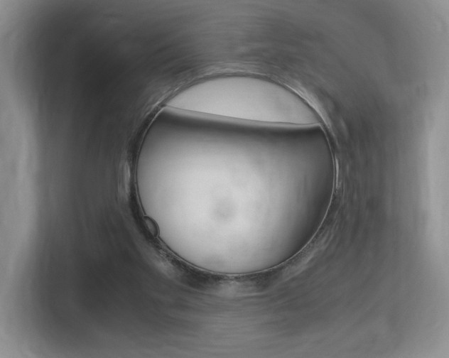 X0000113250109200909100951